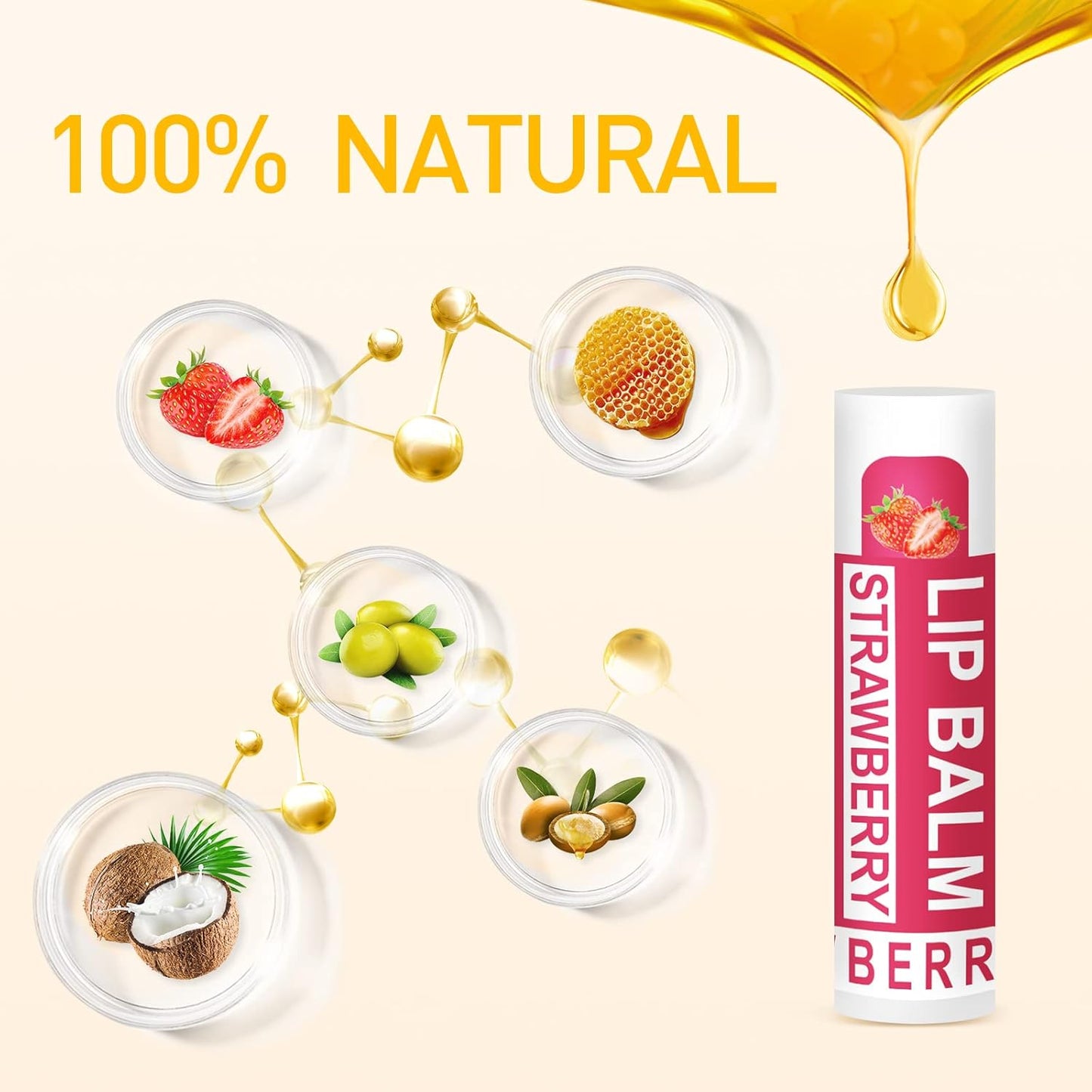 DMSKY Natural Lip Balm Bulk 36 Pack, Moisturizing Lip Balm with Vitamin E and Coconut Oil, Lip Care Product for Chapped Lips-12 Flavors