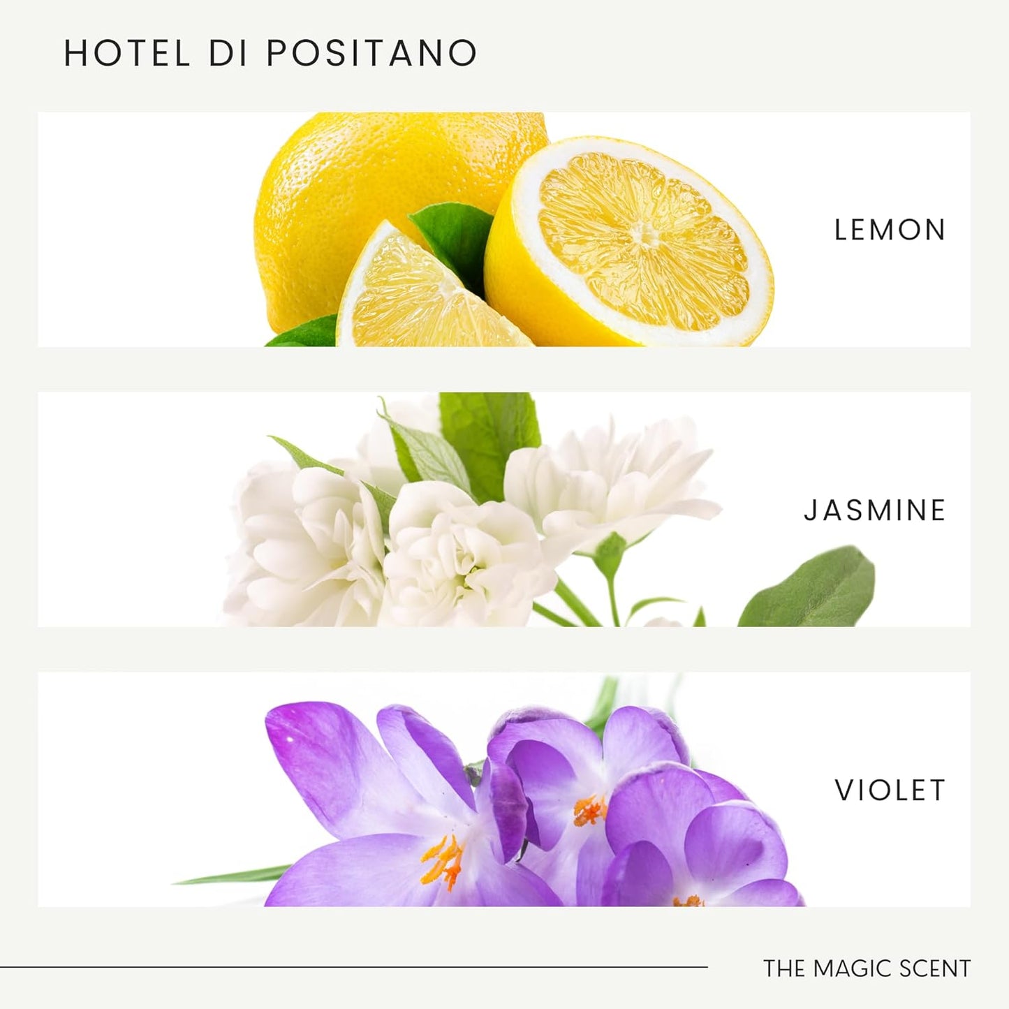 Hotel Di Positano Hotel Scent Diffuser Oil - Cold-Air & Ultrasonic Fragrance Oil for Diffuser Inspired by Amalfi Coast, Italy - Essential Oils for Diffusers Aromatherapy (500 ml)