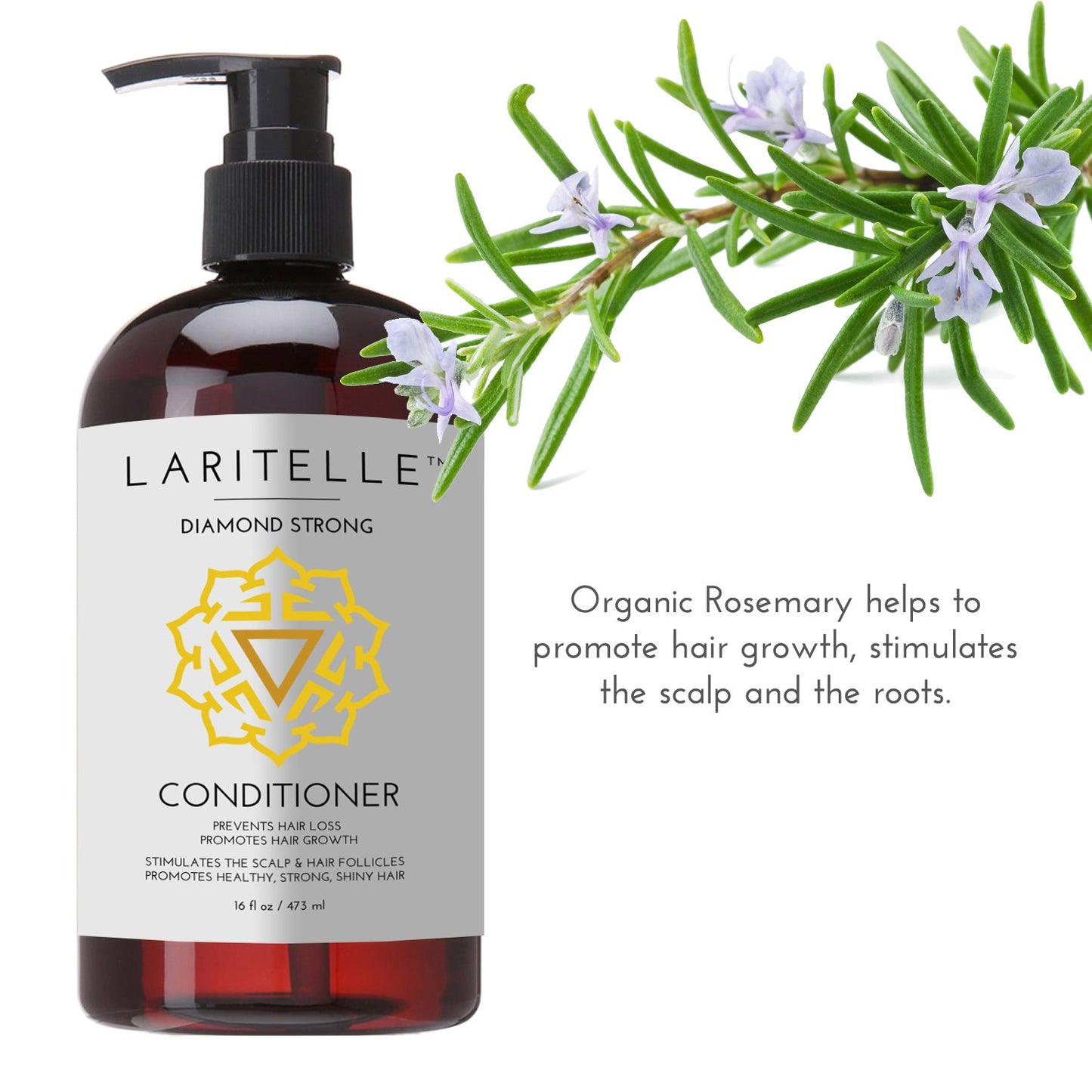 Organic Shampoo 17 oz + Conditioner 16 oz | Prevents Hair Loss, Promotes Hair Growth | Argan Oil, Rosemary, Ginger & Cedarwood | NO GMO, Sulfates, Gluten, Alcohol, Parabens, Phthalates