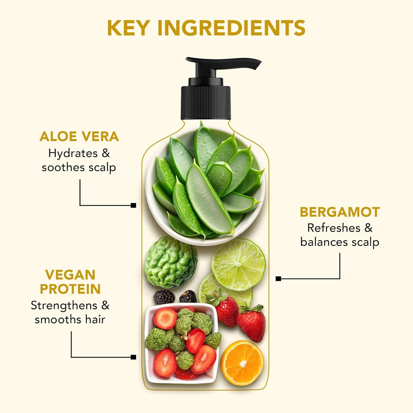Botanic Hearth Aloe Vera Shampoo Infused With Bergamot & Vegan Protein | Clarifying Shampoo To Hydrate, Soften & Strengthen Hair | Paraben & Sulfate Free | For All Hair Types, 16 Fl Oz