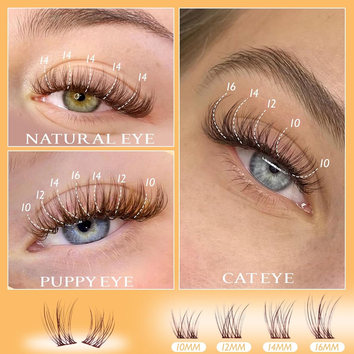 Brown Lash Clusters Wispy Eyelash Clusters Natural Cluster Lashes 100Pcs C-Curly Eyelashes Cluster with Thin Band Cluster Eyelash Extensions 10-16mm DIY Individual Lash Clusters by Ruairie