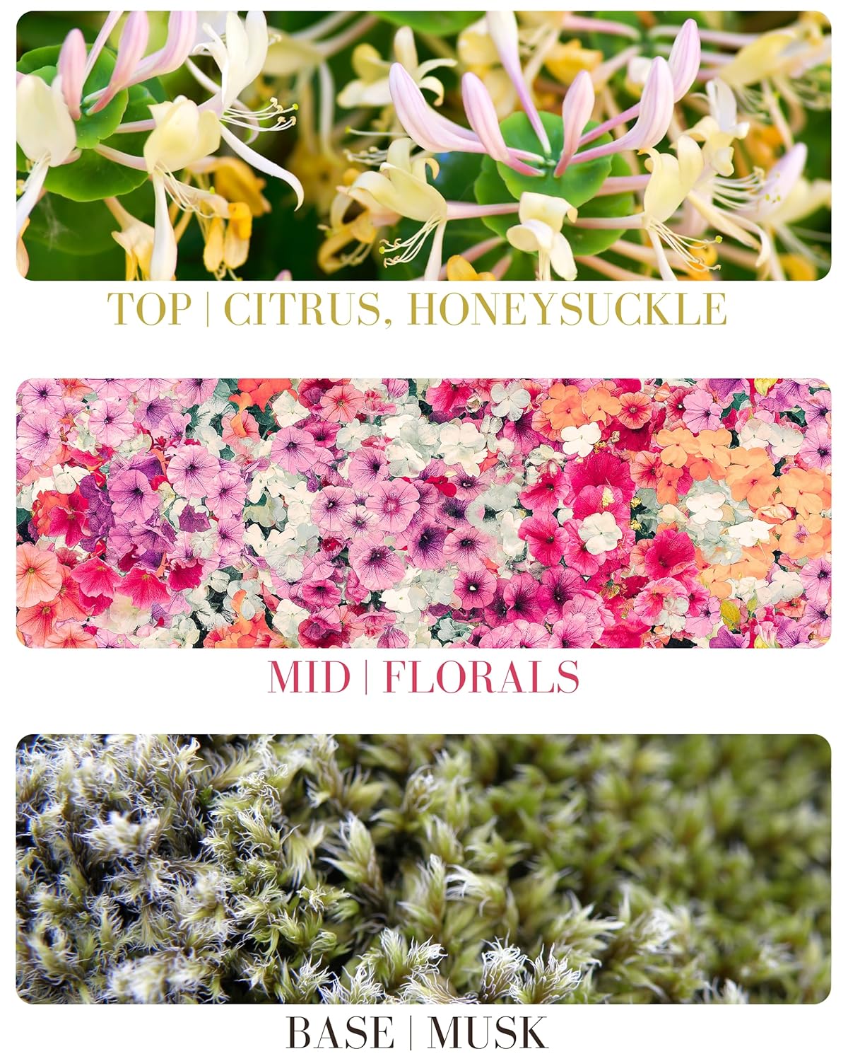 Honeysuckle Natural Hair & Body Mist Spray, Pure Essential and Fragrance Oils, Alcohol-Free, Handmade in California, 0.5Fl Oz